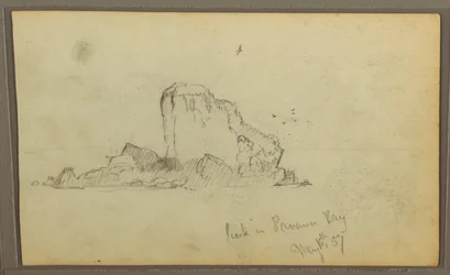 Dibujo, Bireds, "Rock in Panama Bay"; Verso: "Heavy Vines", 15 de mayo de 1857