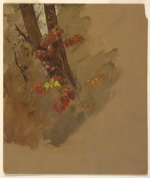 Dibujo, Estudios botánicos, 1860-70