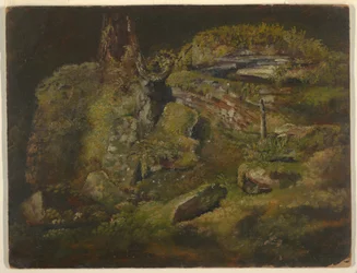 Dibujo, Boulder en el bosque, hacia 1845