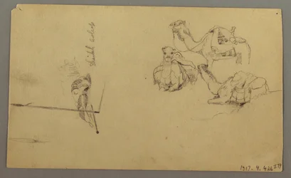 Dibujo, Camellos bebiendo en una colina, 22 de febrero, posiblemente 1868