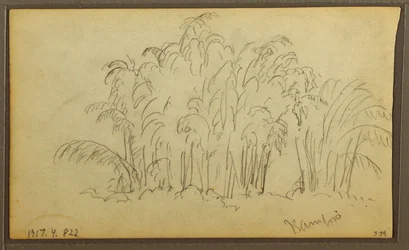 Dibujo, Vacas en un paisaje; reverso: Bambú, 1857