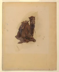 Dibujo, Dromedario agazapado, 1868