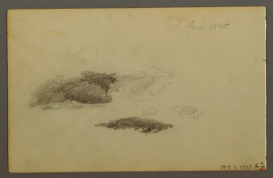 Dibujo, Abedul carcomido, 1844