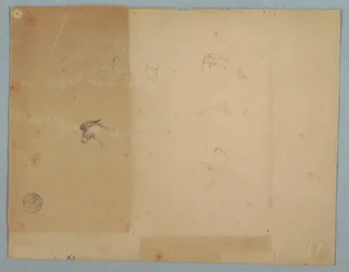 Dibujo, Detalles de cabezas de asno, Sudamérica, 1853