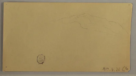 Dibujo, Plantas en flor, ca. 1856