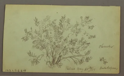 Dibujo, Cabeza de hombre, Hombre fumando, Estudios de velero, Casa, 27 de mayo de 1868