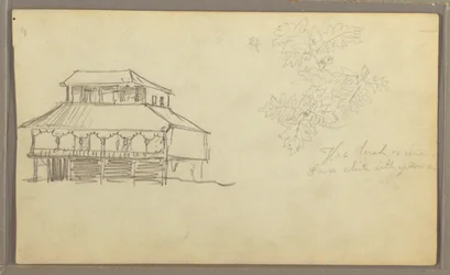 Dibujo, Casa, Bosquejo botánico, Ecuador o Colombia, 1857