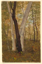 Dibujo, En el bosque, Hudson, Nueva York, octubre de 1865