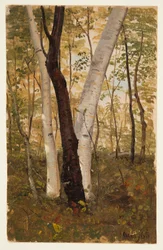 Dibujo, En el bosque, Hudson, Nueva York, octubre de 1865