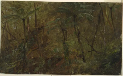 Dibujo, En los bosques de Jamacia, Antillas, 1865