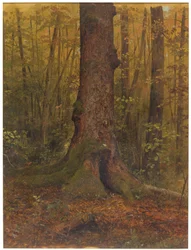 Dibujo, En el bosque, probablemente Maine, 1850-60