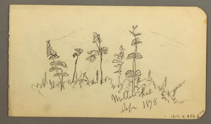 Dibujo, Lago mirando hacia el monte Katahdin, 1878