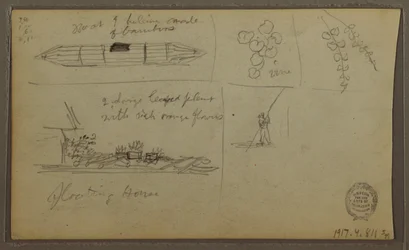 Dibujo, Paisaje; Verso: Barco, Bocetos botánicos, 1857