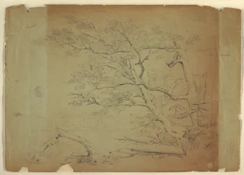 Dibujo, Paisaje con árboles y un arroyo [], Isla de Grand Manan, Canadá, septiembre de 1851