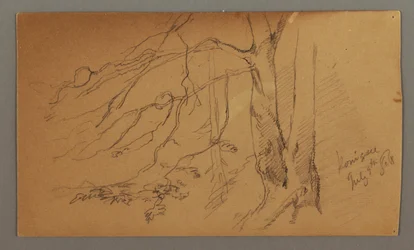 Dibujo, Mitad inferior del árbol, 9 de julio de 1868