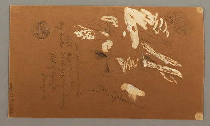 Dibujo, Mitad inferior del árbol, 9 de julio de 1868