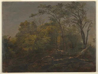 Dibujo, Bosques de Maine, 1845-55