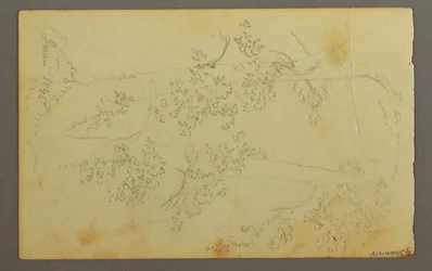Dibujo, Molino rodeado de árboles, 1845