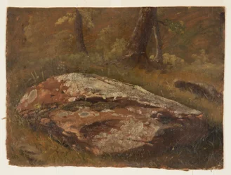 Dibujo, Mossy Rock, agosto de 1845