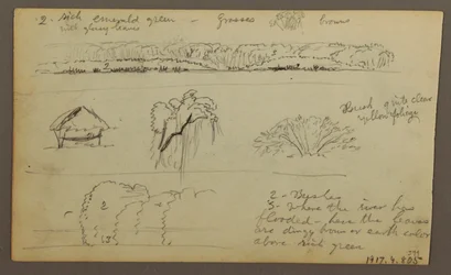 Dibujo, Cordillera "entrando en Guayaquil"; Verso: Orilla del río, Bocetos botánicos, posiblemente 1857.
