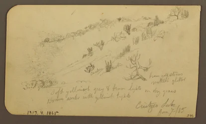 Dibujo, Montaña, Zapotlán; Verso: Ladera arbolada, Lago de Cuitzeo, enero de 1885.
