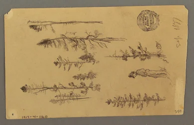 Dibujo, Cima de una montaña, 1877