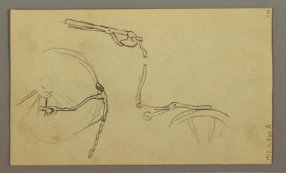 Dibujo, Mountainside, julio de 1868