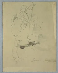 Dibujo, Philodendrum [] creciendo sobre una roca, Jamaica, junio de 1865