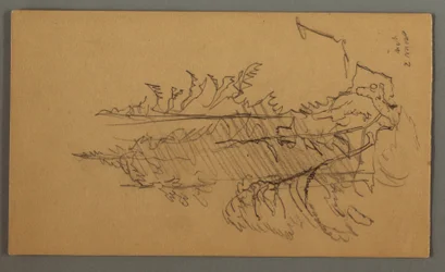 Dibujo, Pinos, posiblemente 1868