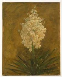 Dibujo, Planta en flor, agosto de 1865