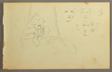 Dibujo, Estudio de plantas, caras, posiblemente 1844