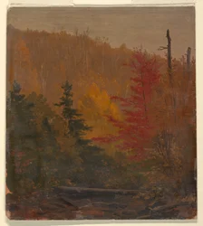 Dibujo, probablemente cerca de Katahdin, otoño, 1865-70