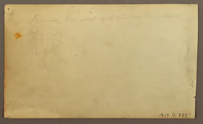 Dibujo, Río Limona cerca de un pueblo, Ecuador o Colombia; reverso: Hojas, 1857