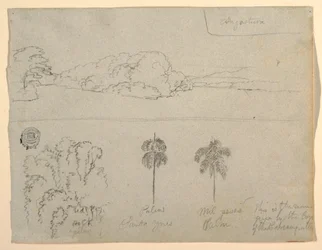 Dibujo, Bocetos de Colombia:  Orilla de un río o bahía, y Árboles., 1853