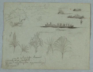 Dibujo, Bocetos del Río Magdalena, Colombia:  Plantas, Vapor y un Champan, 1853, probablemente Mayo