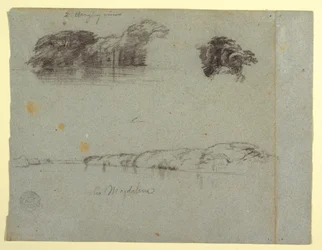 Dibujo, Bocetos de árboles, enredaderas y una orilla del Río Magdalena, Colombia, 1853, probablemente mayo