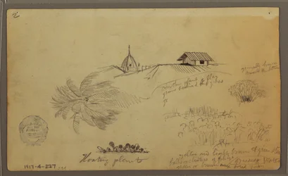 Dibujo, Cielo sobre el mar; Verso: Bocetos botánicos, Tejados, mayo de 1857