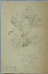 Dibujo, Estudios de árboles y ramas, Jamaica, agosto de 1865