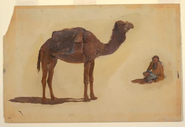 Dibujo, Estudio de un dromedario, 1868