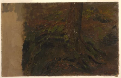 Dibujo, Estudio de un tronco de árbol, 1850-60