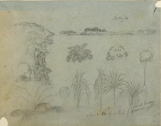 Dibujo, Estudio con copas de árboles, árboles, cinco diseños de plantas y una isla lejana, ca. 1852-53