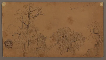 Dibujo, Tree Tops, Niágara, 27 de agosto de 1856