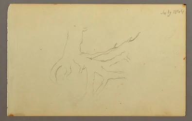 Dibujo, Raíces de árbol, 1844