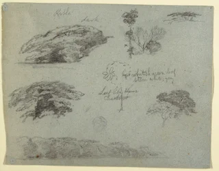 Dibujo, Árboles, copas de árboles y un banco boscoso, Saddleback, Maine, 1853