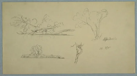 Dibujo, Árboles, una orilla con arbustos y árboles, septiembre de 1876