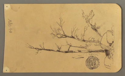 Dibujo, Árboles, cantos rodados, 1878