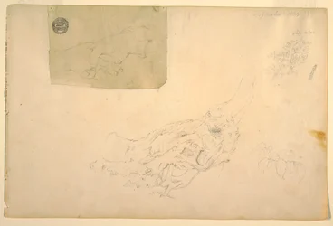 Dibujo, Dos manos temblorosas, raíces de árbol nudosas, septiembre de 1844