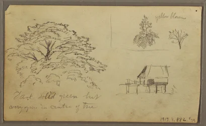Dibujo, Vista de Guayaquil, Ecuador, 23 de mayo de 1857