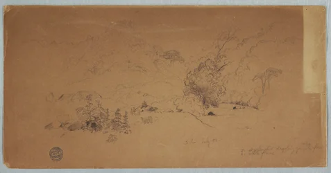Dibujo, Vista de Toche, Colombia, julio de 1853