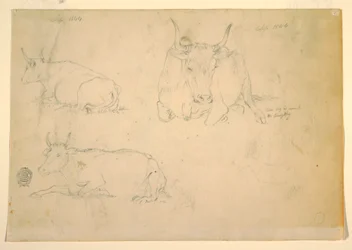 Dibujo, Vistas de ganado agazapado, septiembre de 1844